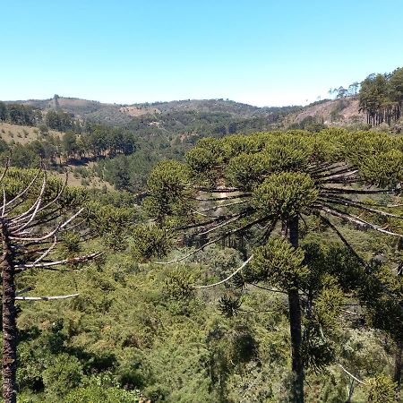 Apto Nas Montanhas Campos do Jordão Kültér fotó